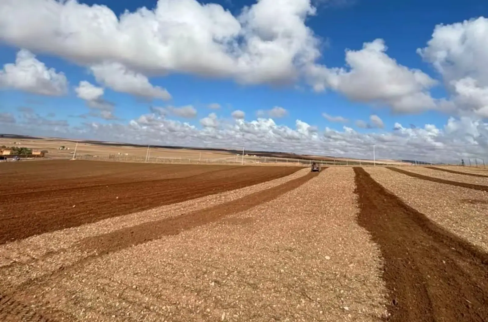 Agricultural plot in Morocco from the INNOVAGOT catalogue